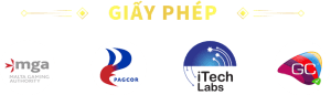 Giấy phép 789F